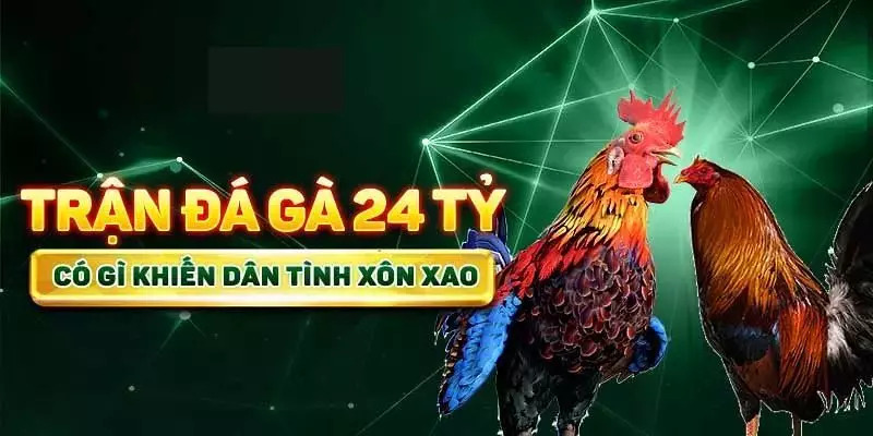 Trận đá gà 24 tỷ - cuộc chọi kê kinh điển trong giới đá gà